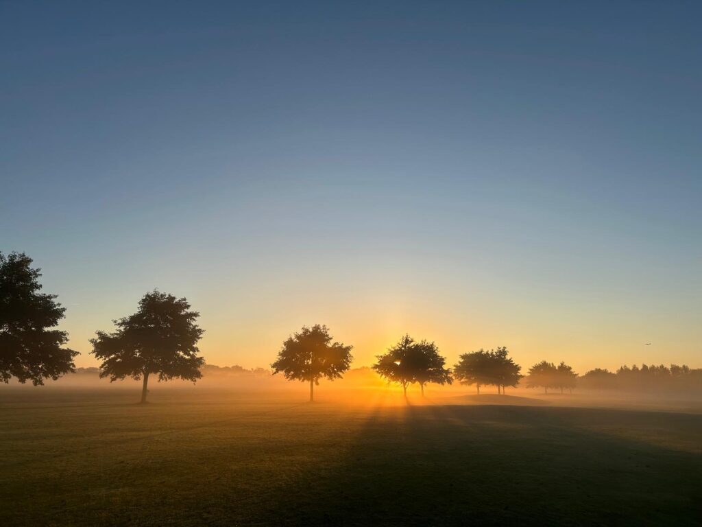 whatsapp image 2025 11 02 at 14.15.20